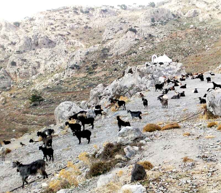 Φωτογραφία στο Anatolh.com