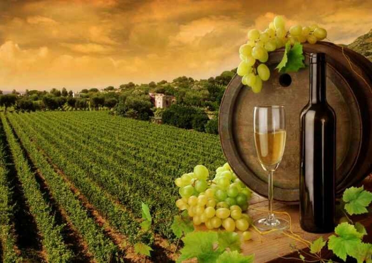 Φωτογραφία στο Anatolh.com
