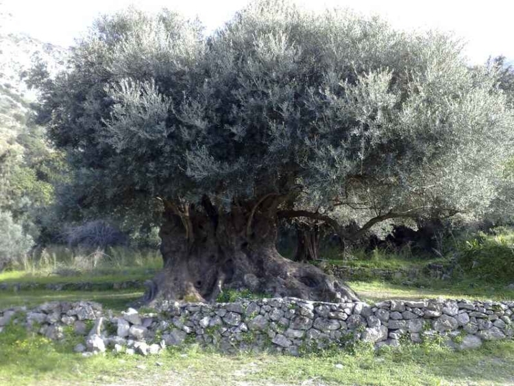 Φωτογραφία στο Anatolh.com