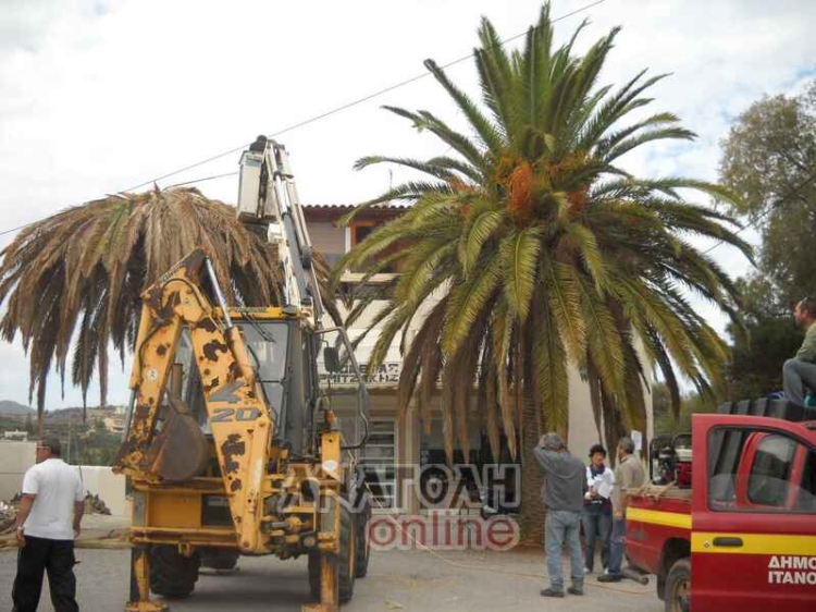 Φωτογραφία στο Anatolh.com