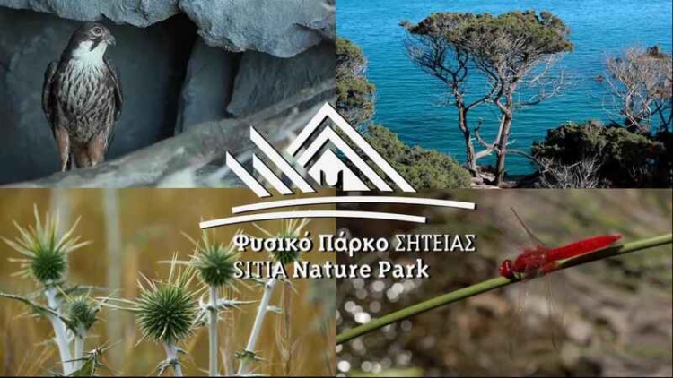 Φωτογραφία στο Anatolh.com
