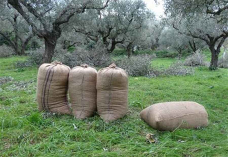 Φωτογραφία στο Anatolh.com