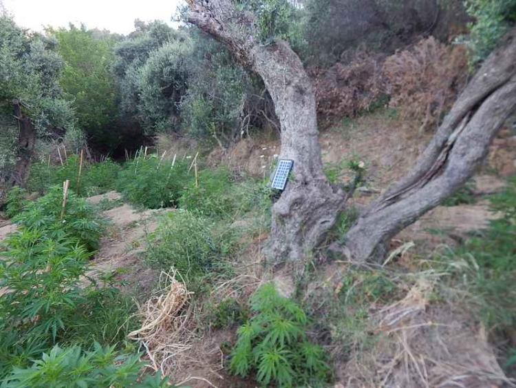 Φωτογραφία στο Anatolh.com