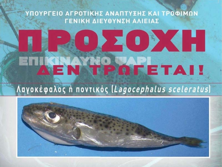 Φωτογραφία στο Anatolh.com
