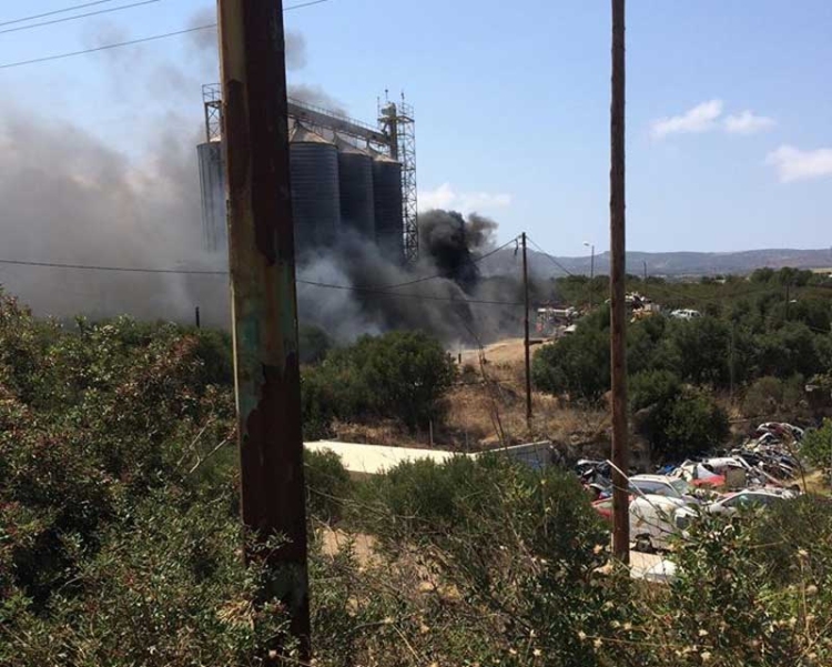 Φωτογραφία: Γιάννης Δασκαλάκης