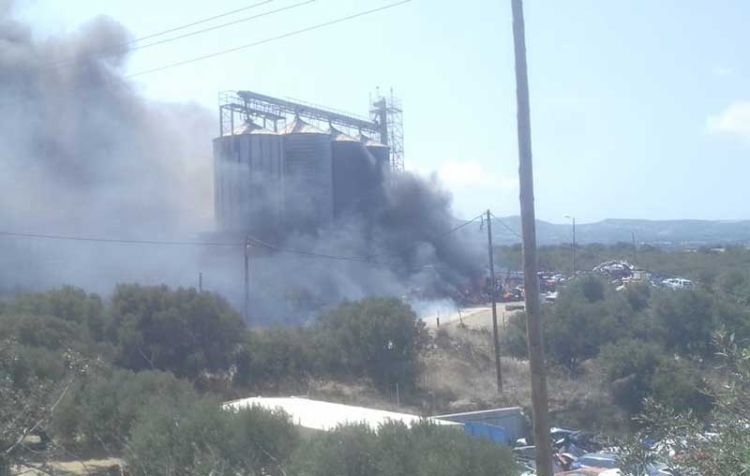 Φωτογραφία: Μάνος Ξενιδάκης