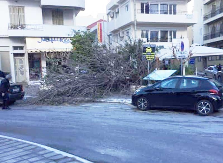 Φωτογραφία: Θ. Φουράκης