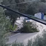 Φωτογραφία στο Anatolh.com