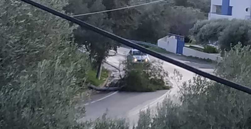 Φωτογραφία στο Anatolh.com