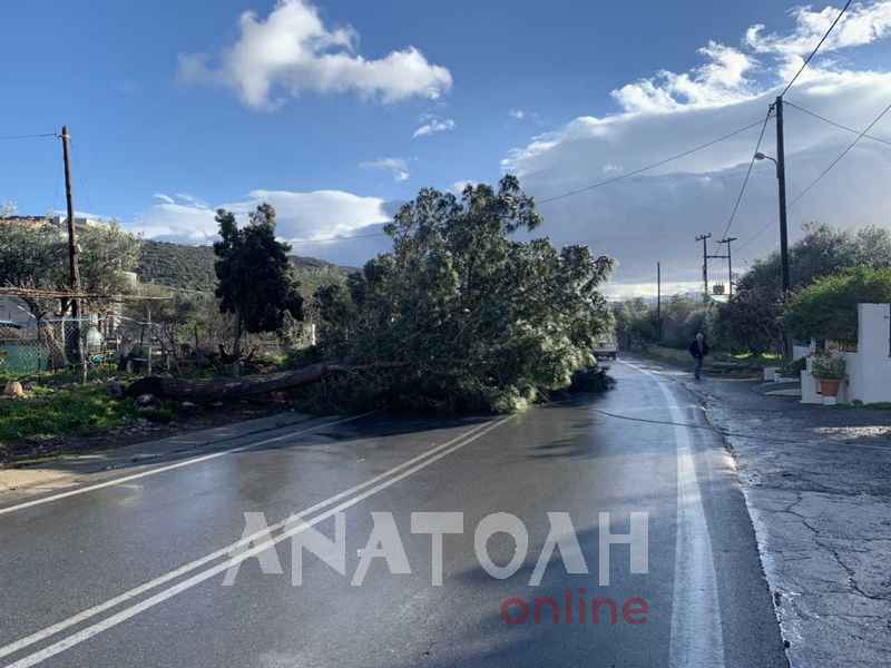 Φωτογραφία στο Anatolh.com