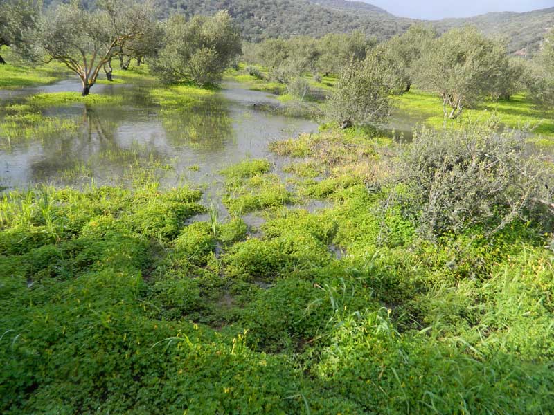 Φωτογραφία στο Anatolh.com