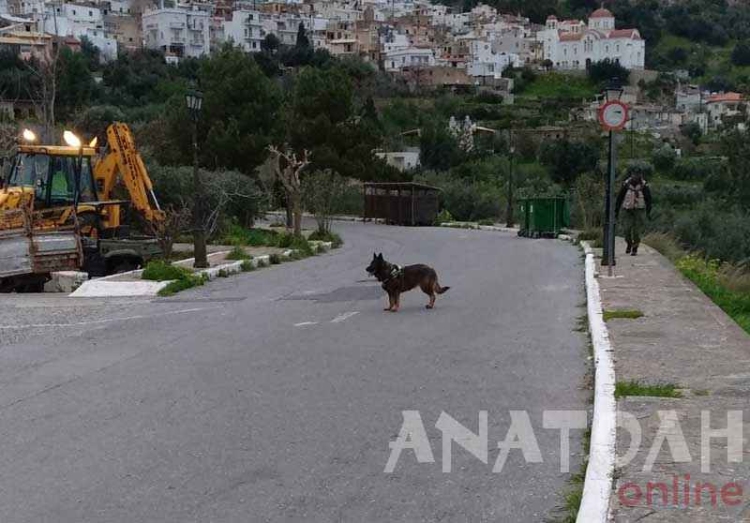 Το εκπαιδευμένο σκυλί έψαξε στην Κριτσά για φόλες