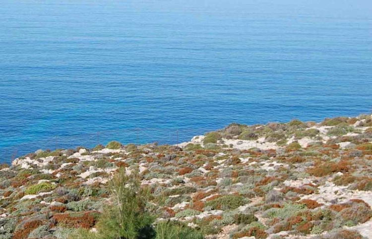 φωτογραφία αρχείου