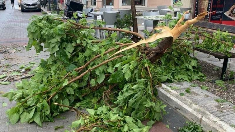 Φωτογραφία στο Anatolh.com
