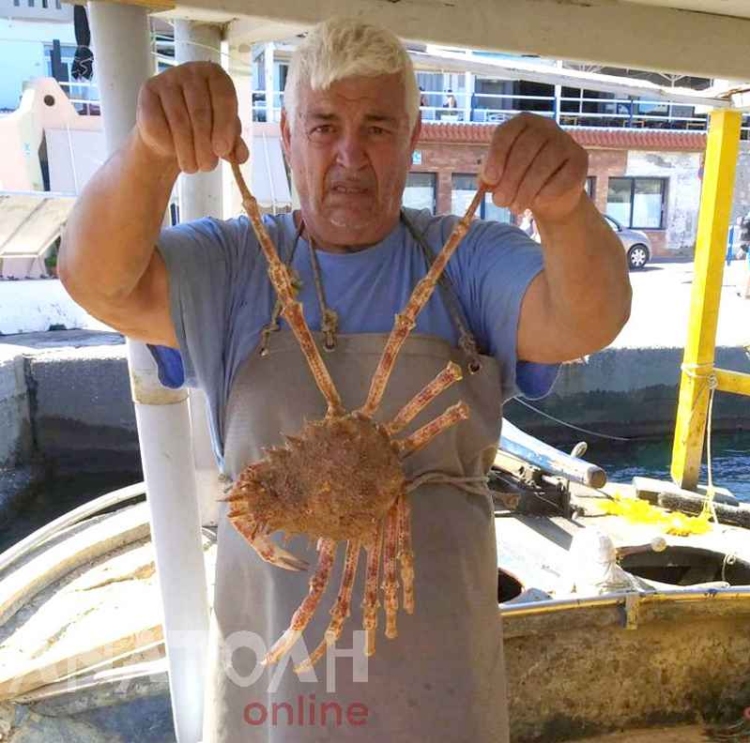 Φωτογραφία στο Anatolh.com
