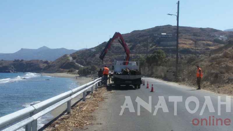 Φωτογραφία στο Anatolh.com