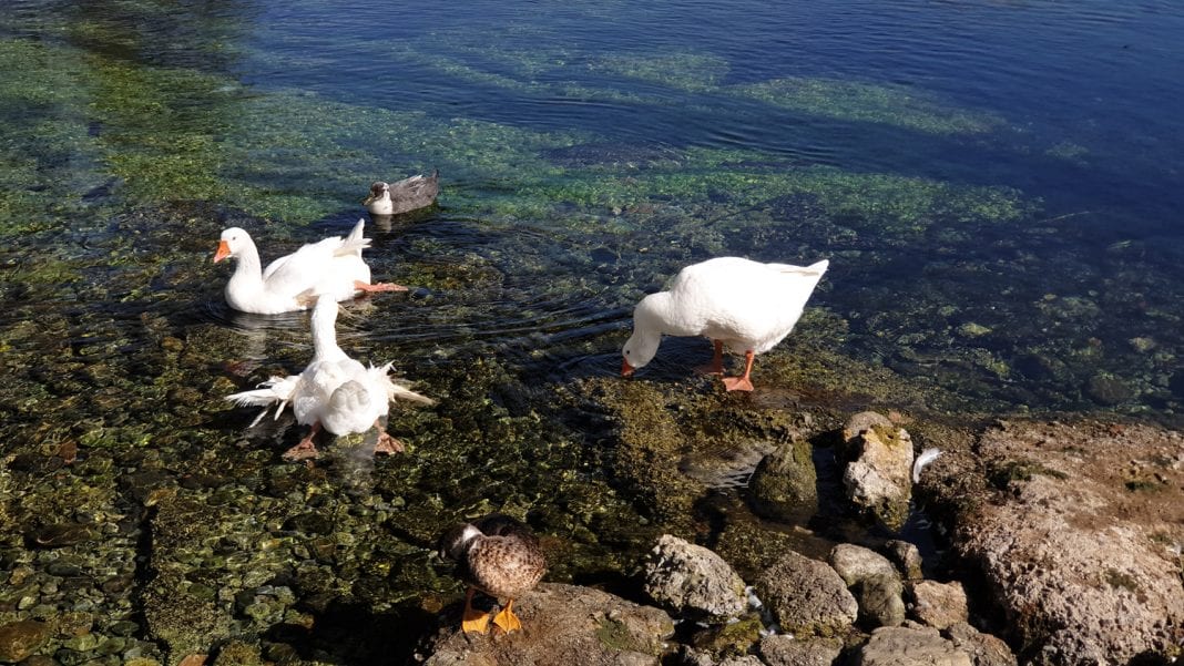Φωτογραφία στο Anatolh.com
