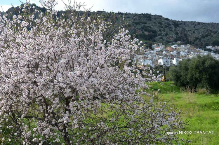 Φωτογραφία στο Anatolh.com