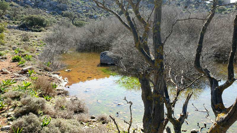 Φωτογραφία στο Anatolh.com