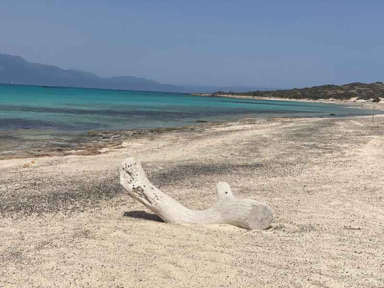 Φωτογραφία στο Anatolh.com