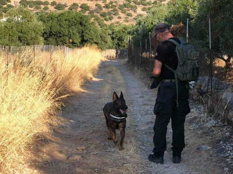 Φωτογραφία στο Anatolh.com