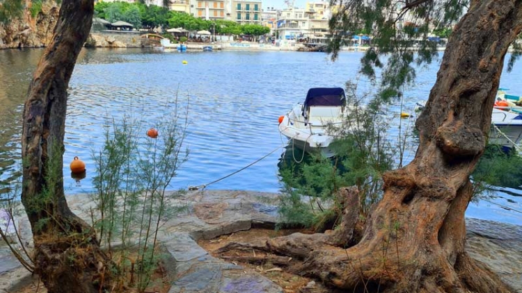 Φωτογραφία στο Anatolh.com