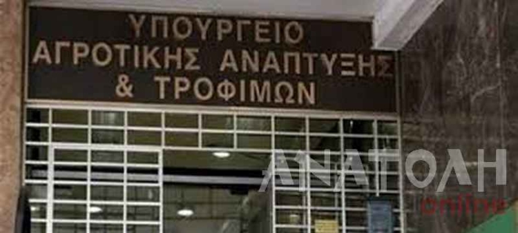 Φωτογραφία στο Anatolh.com