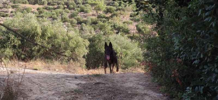Φωτογραφία στο Anatolh.com