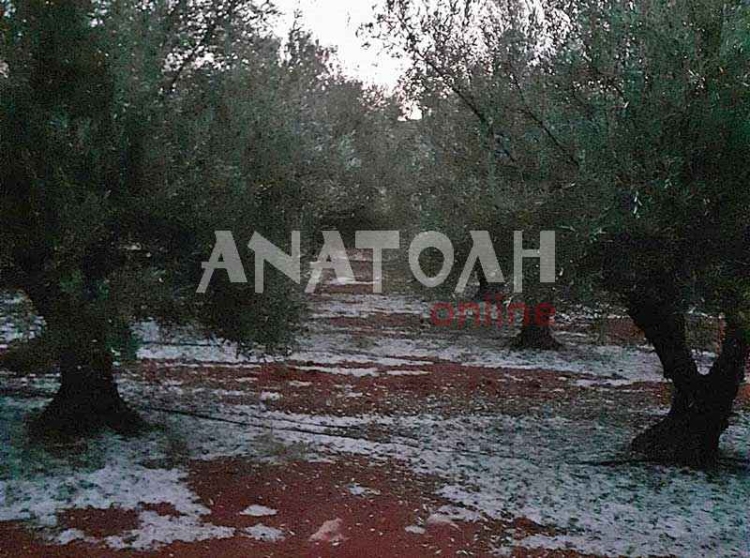 Φωτογραφία στο Anatolh.com
