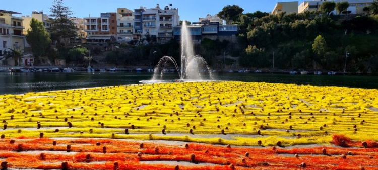 Φωτογραφία στο Anatolh.com