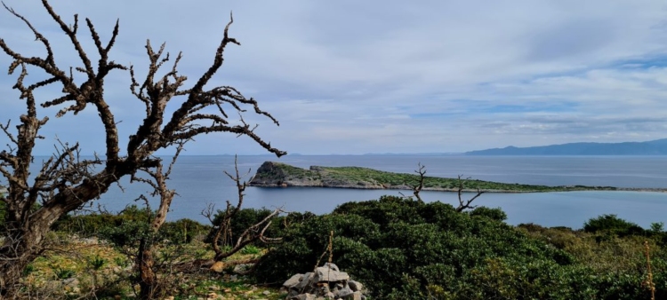 Φωτογραφία στο Anatolh.com