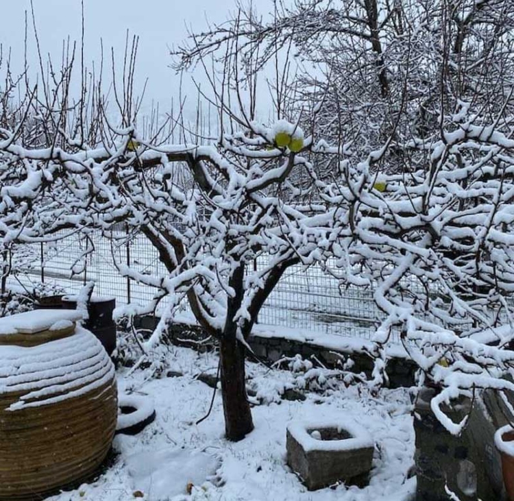 Φωτογραφία στο Anatolh.com