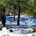 Φωτογραφία στο Anatolh.com