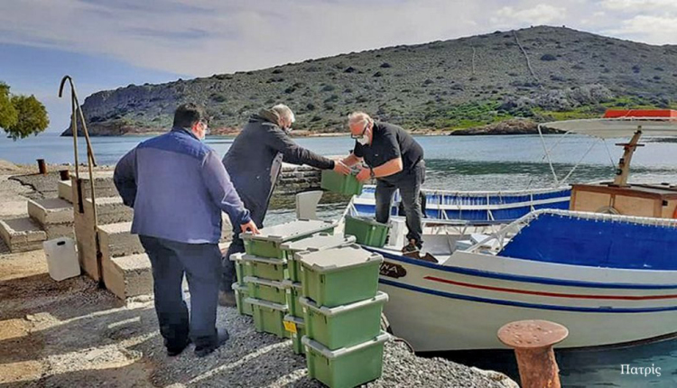 Φωτογραφία στο Anatolh.com