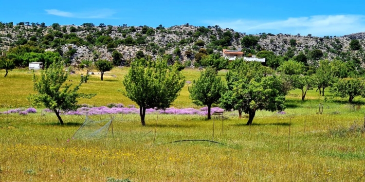 Φωτογραφία στο Anatolh.com