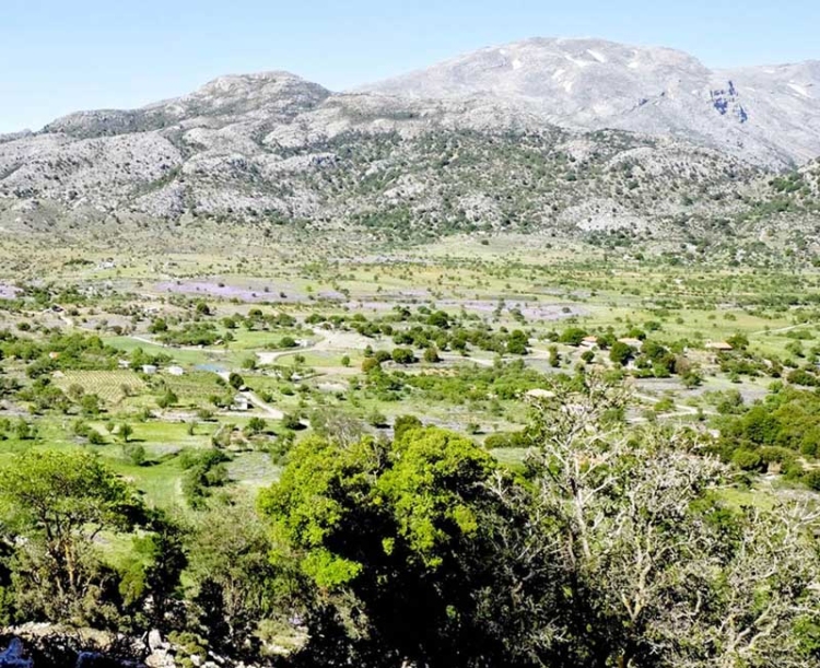 Φωτογραφία στο Anatolh.com