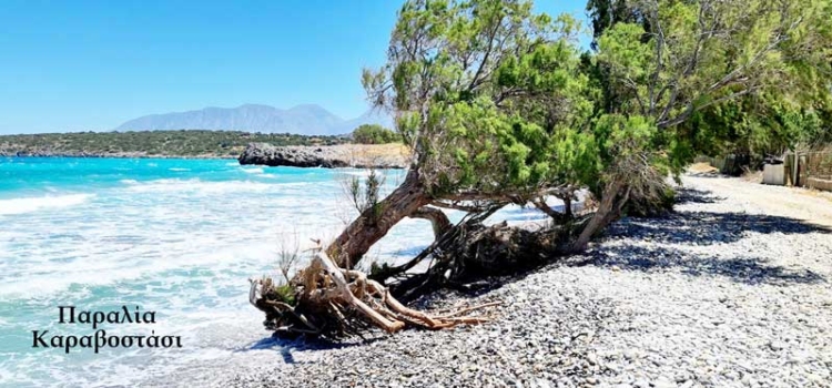 Φωτογραφία στο Anatolh.com