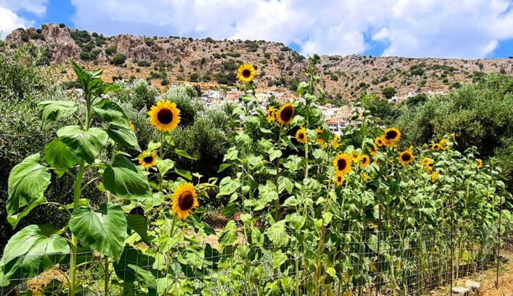 Φωτογραφία στο Anatolh.com