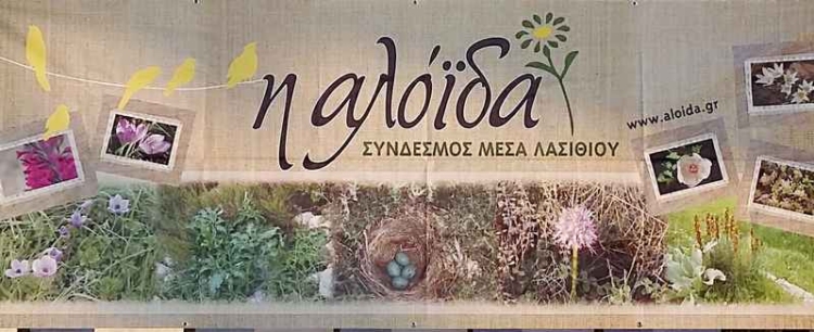 Φωτογραφία στο Anatolh.com
