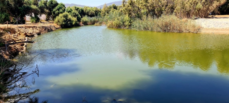 Φωτογραφία στο Anatolh.com