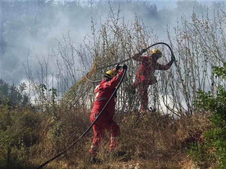 Φωτογραφία στο Anatolh.com