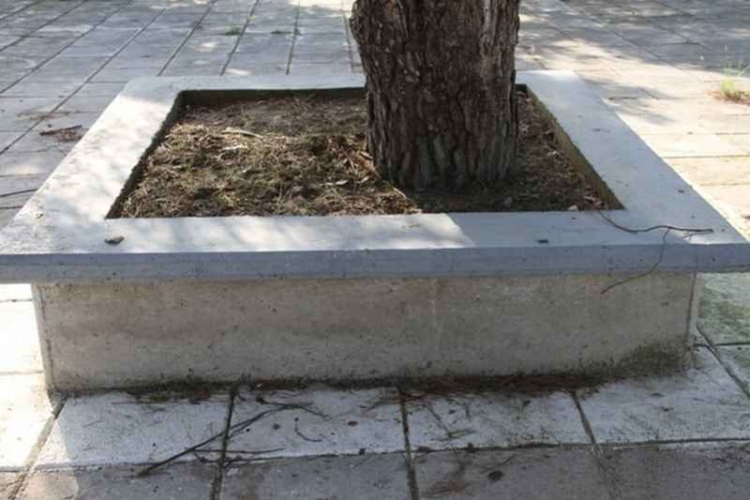 Φωτογραφία στο Anatolh.com