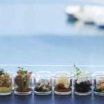 Φωτογραφία στο Anatolh.com