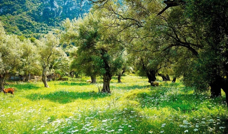 Φωτογραφία στο Anatolh.com