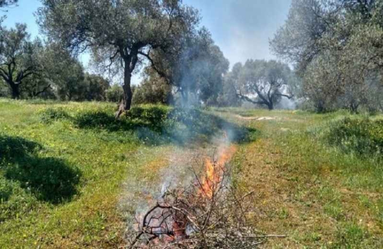 Φωτογραφία στο Anatolh.com