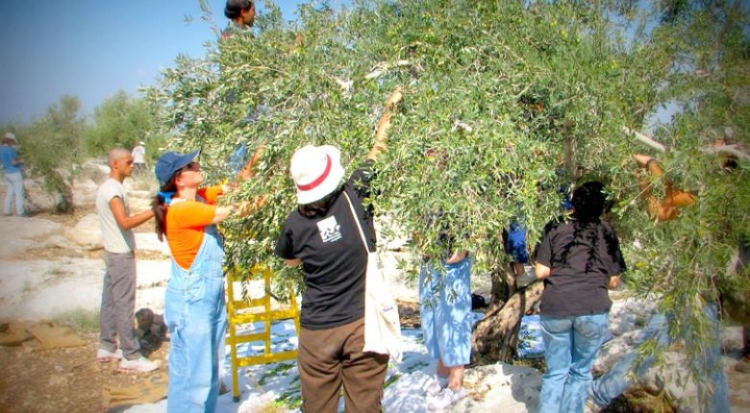 Φωτογραφία στο Anatolh.com