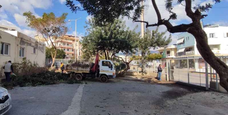 Φωτογραφία στο Anatolh.com