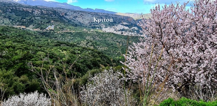 Φωτογραφία στο Anatolh.com