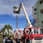 Φωτογραφία στο Anatolh.com