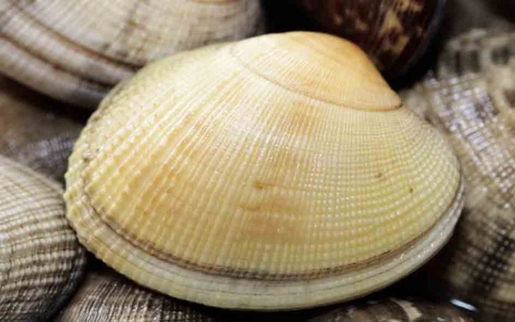Φωτογραφία στο Anatolh.com
